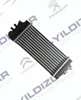 Citroen Turbo Radyatör 1.6 HDI (Intercooler) 0384G5 resmi