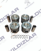 Citroen Piston Segman STD 1.6 HDI 16V 0.40 Kısa (Takım) 0628V1-0628W0-0628R4 resmi